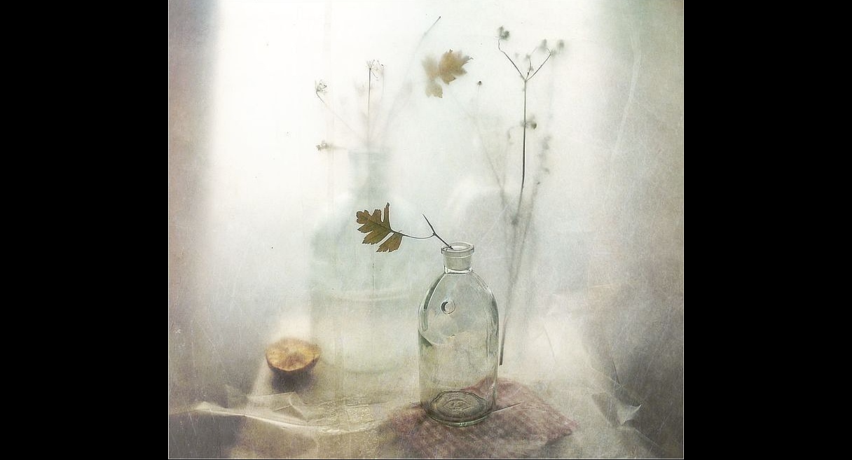 冷静と情熱のあいだ