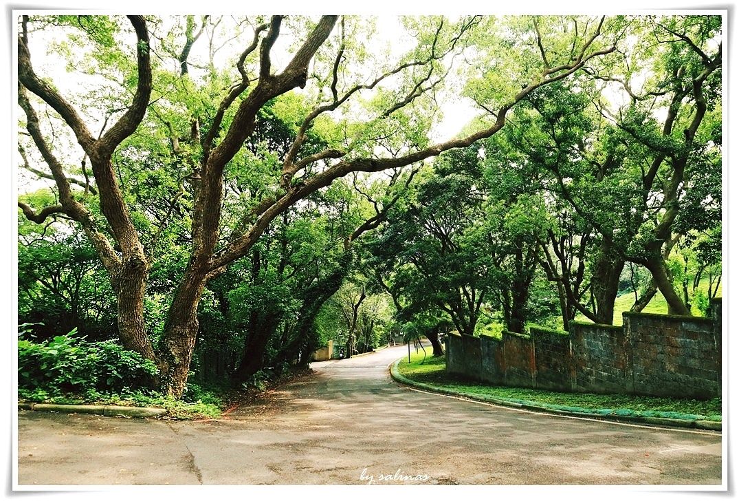 暮春|花卉試驗中心