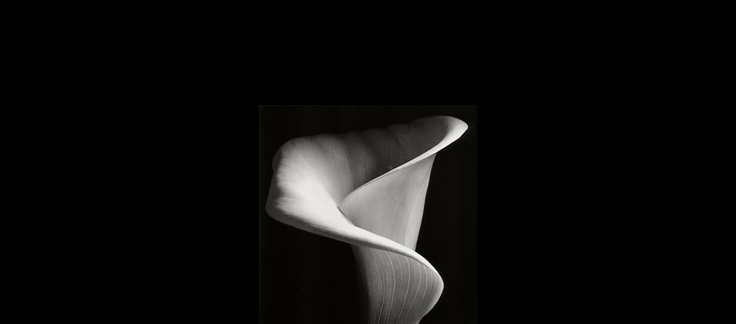 貝多芬 -第14鋼琴奏鳴曲《月光奏鳴曲》