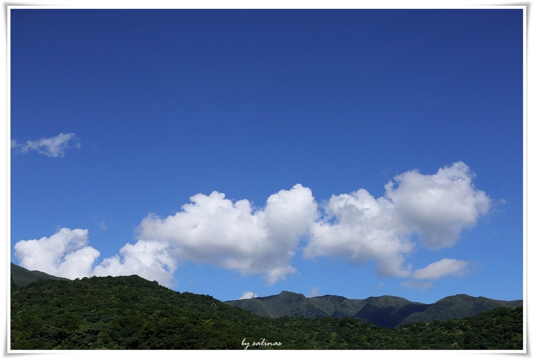 記錄夏天||人生忽如寄,莫負好天氣