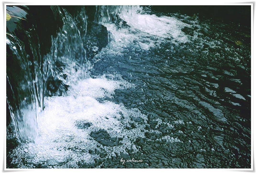 林夕·固定伴侶