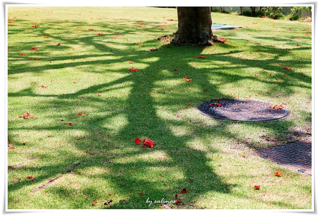 世間朗朗有光照