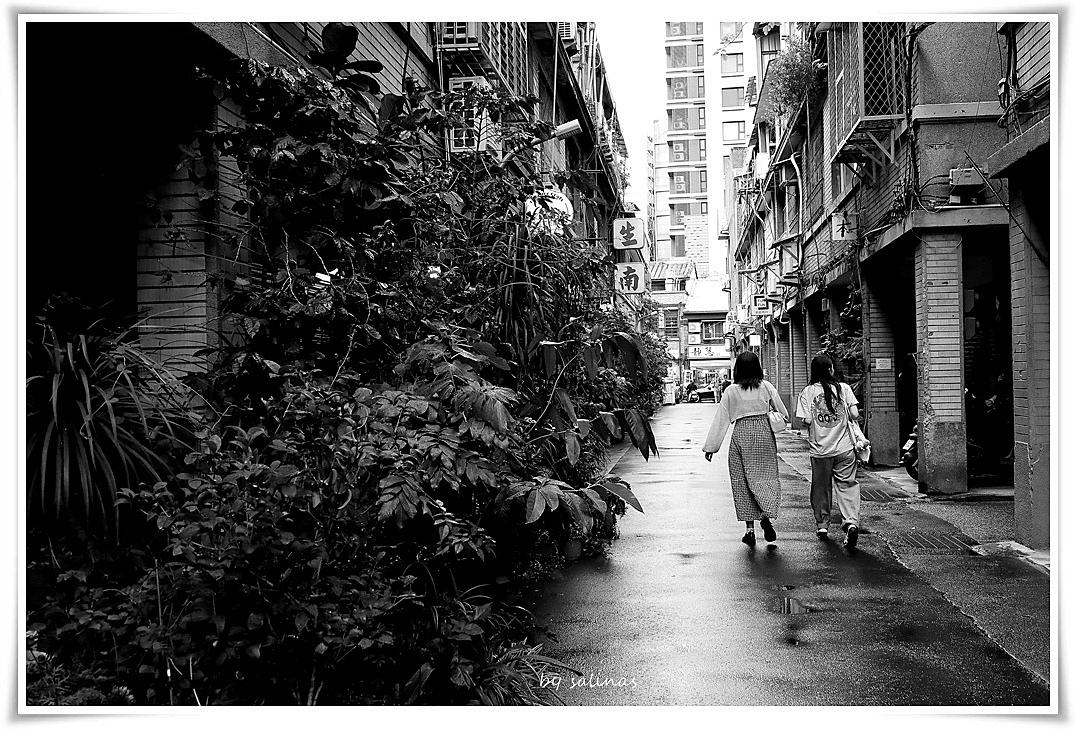 林海- 再見往事 再見