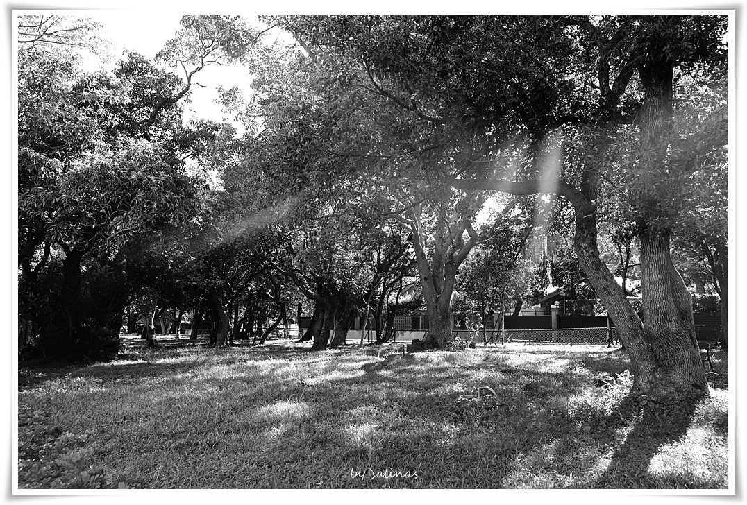 草山小鎮| 美國渡假村