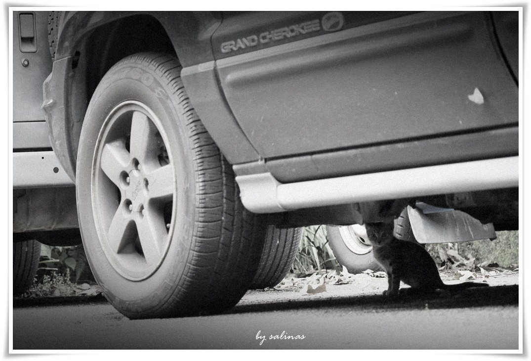 原來你也在這裡