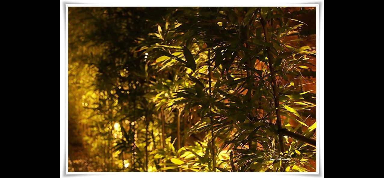 【習作簿】夜色