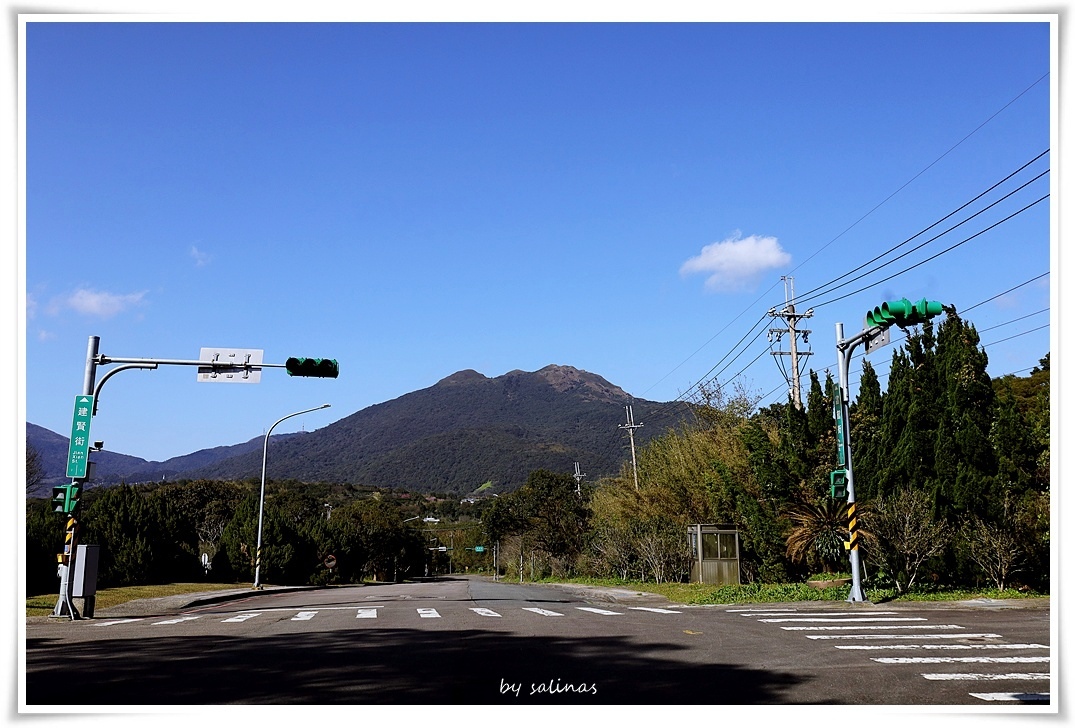2025 Spring|草東的春日午後
