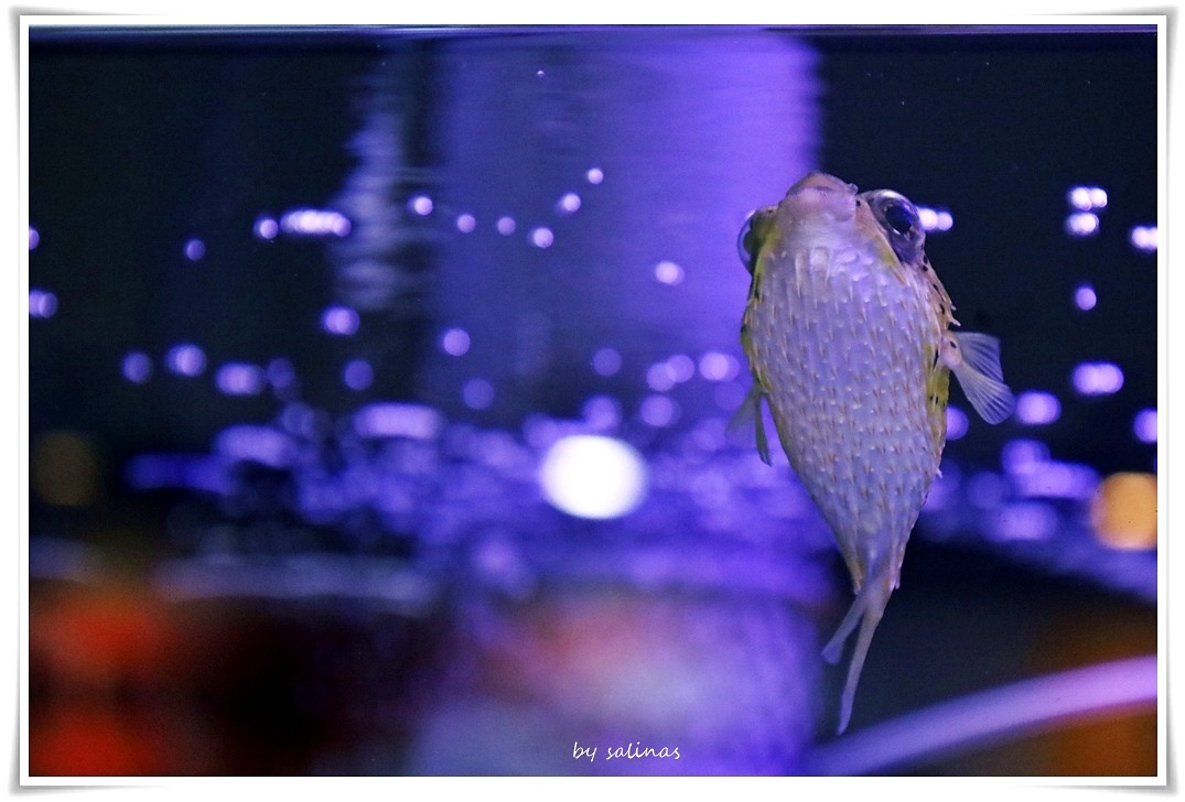 八斗子|潮境智能館B館