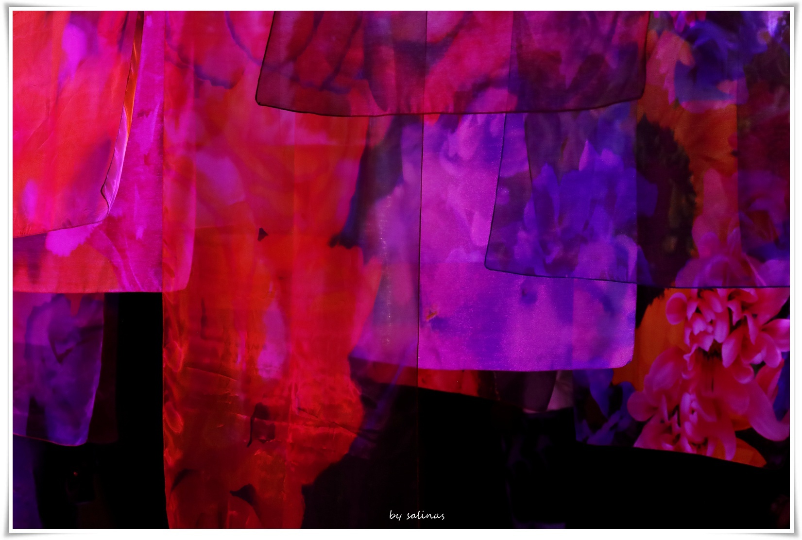 蜷川實花展-生命的殘骸