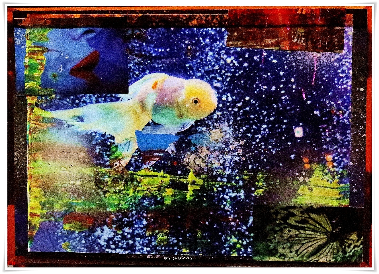 蜷川實花展|解放與執著