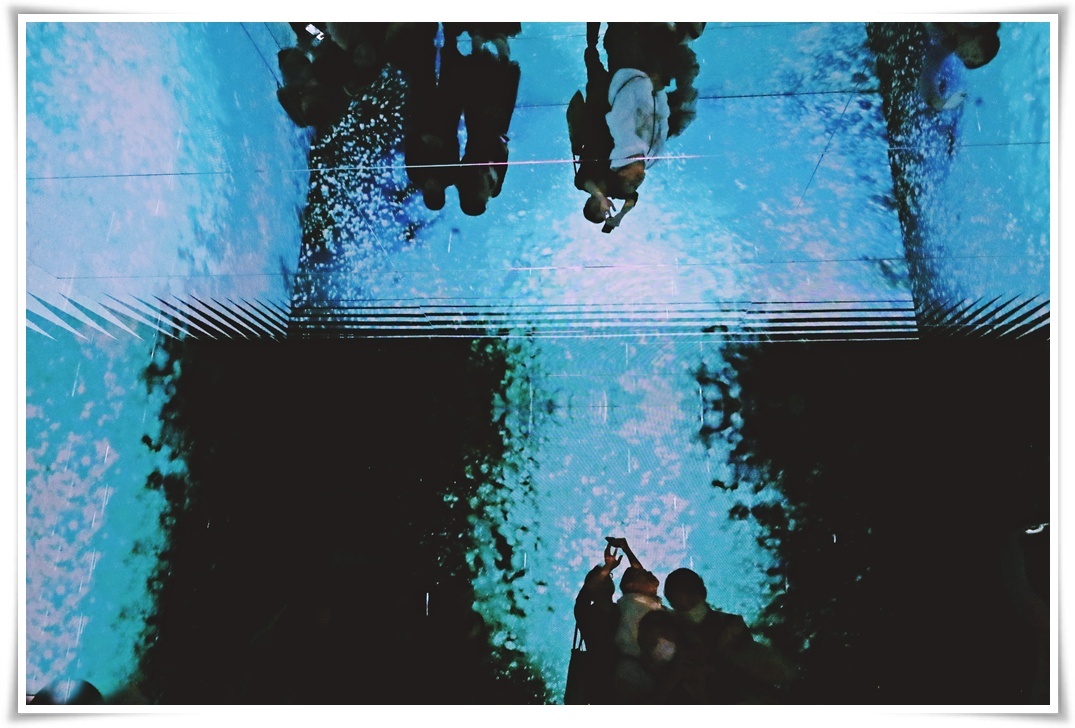 蜷川實花展|深淵彼岸的夢-光影迷幻