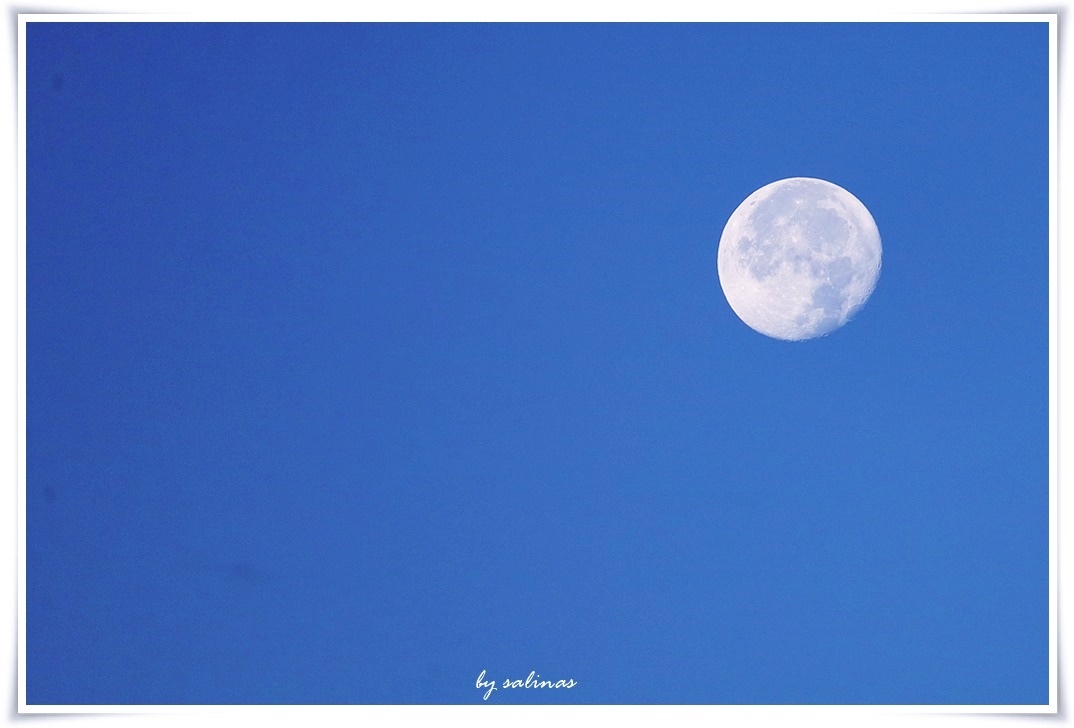 5AM MOON