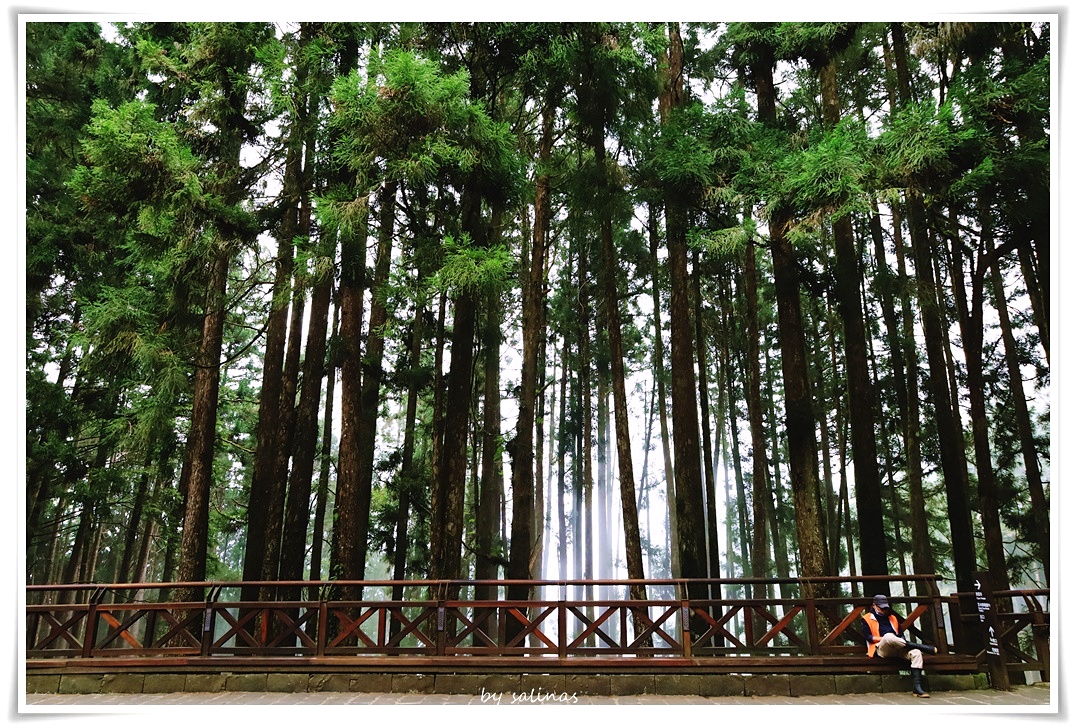 Playlist|讓煩惱煙雲散的音樂