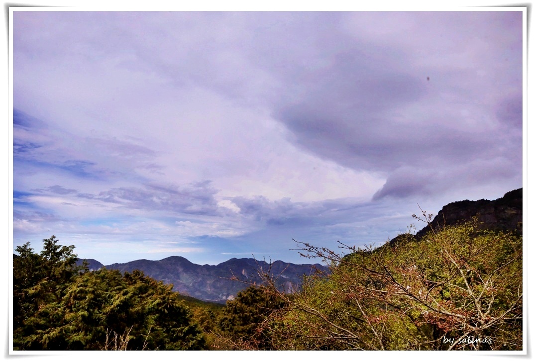 阿里山|慈雲景觀